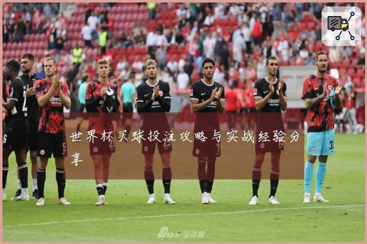 世界杯买球投注攻略与实战经验分享