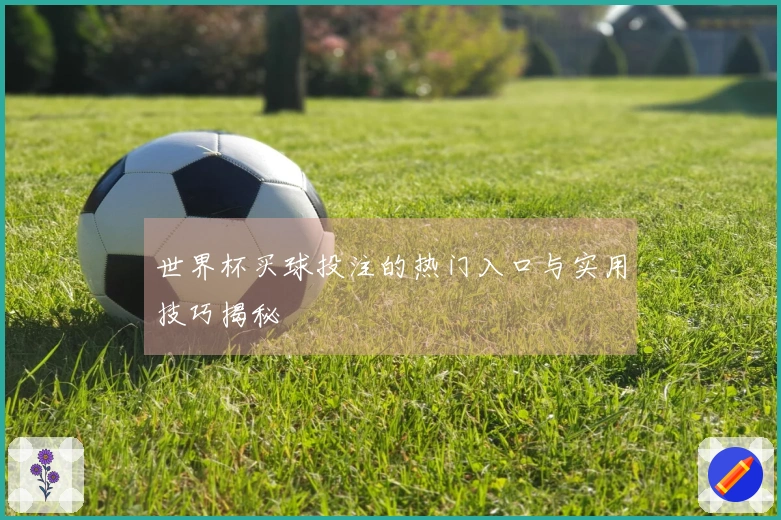 世界杯买球投注的热门入口与实用技巧揭秘