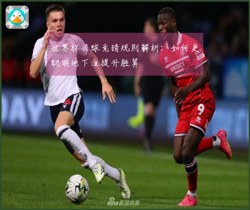 世界杯买球竞猜规则解析：如何更聪明地下注提升胜算