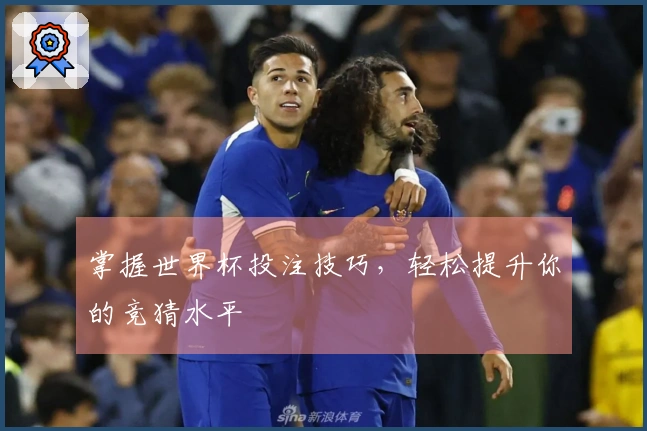 掌握世界杯投注技巧，轻松提升你的竞猜水平