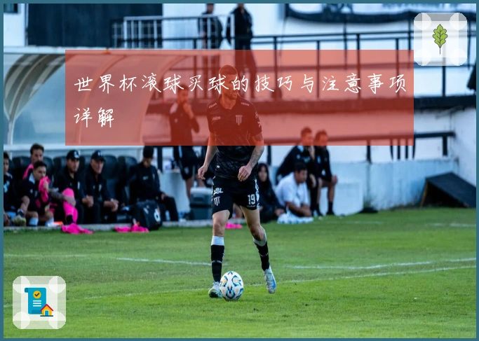 世界杯滚球买球的技巧与注意事项详解