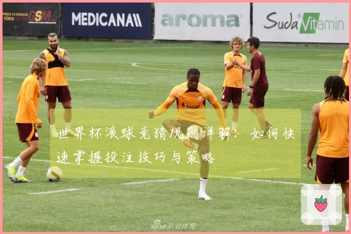 世界杯滚球竞猜规则详解：如何快速掌握投注技巧与策略