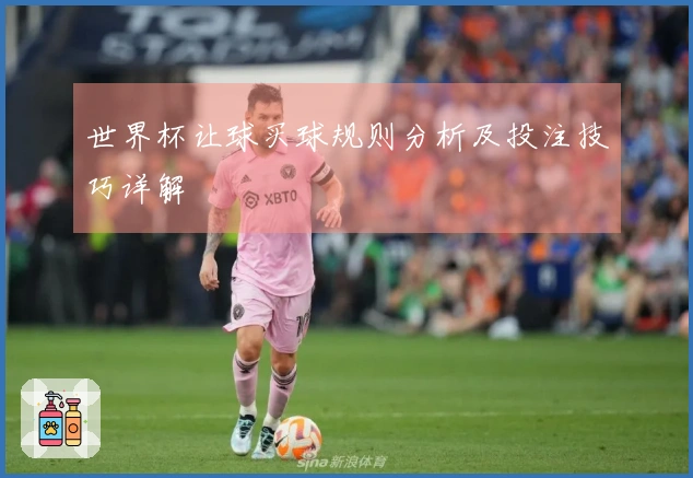 世界杯让球买球规则分析及投注技巧详解