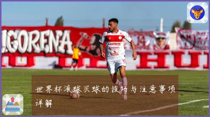 世界杯滚球买球的技巧与注意事项详解