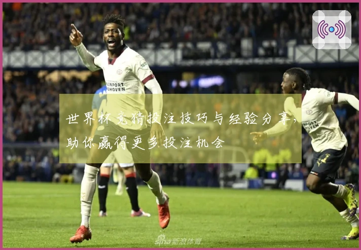 世界杯竞猜投注技巧与经验分享，助你赢得更多投注机会