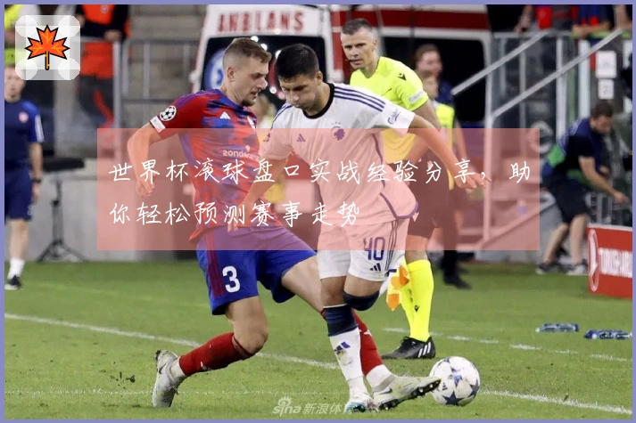世界杯滚球盘口实战经验分享，助你轻松预测赛事走势