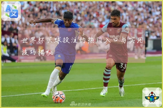 世界杯买球投注的热门入口与实用技巧揭秘