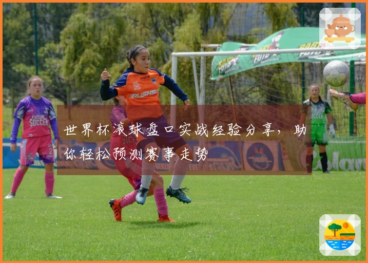 世界杯滚球盘口实战经验分享，助你轻松预测赛事走势