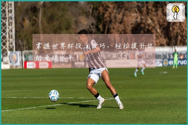 掌握世界杯投注技巧，轻松提升你的竞猜水平