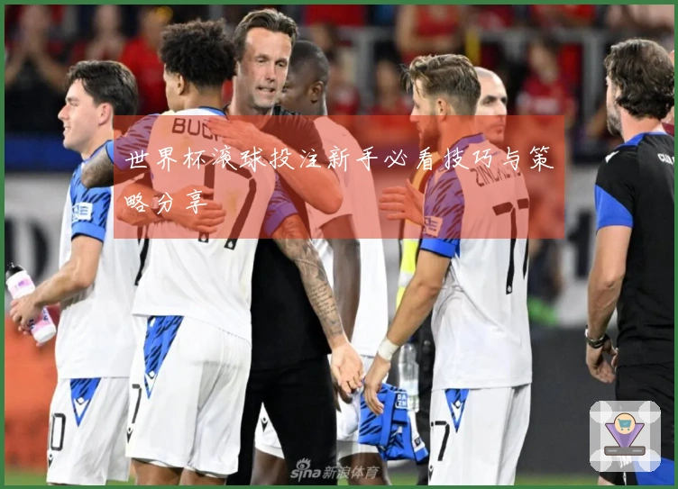 世界杯滚球投注新手必看技巧与策略分享