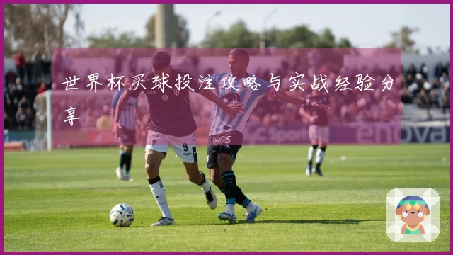 世界杯买球投注攻略与实战经验分享