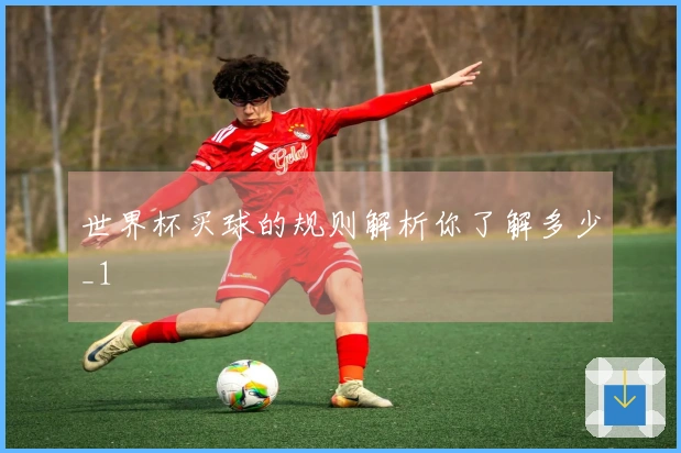 世界杯买球的规则解析你了解多少_1